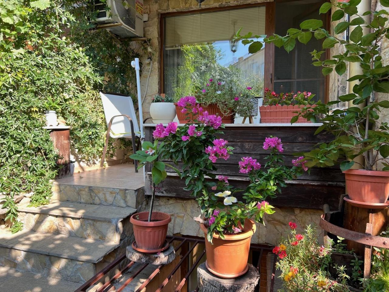Family Hotel Emilia Sozopol Exterior foto