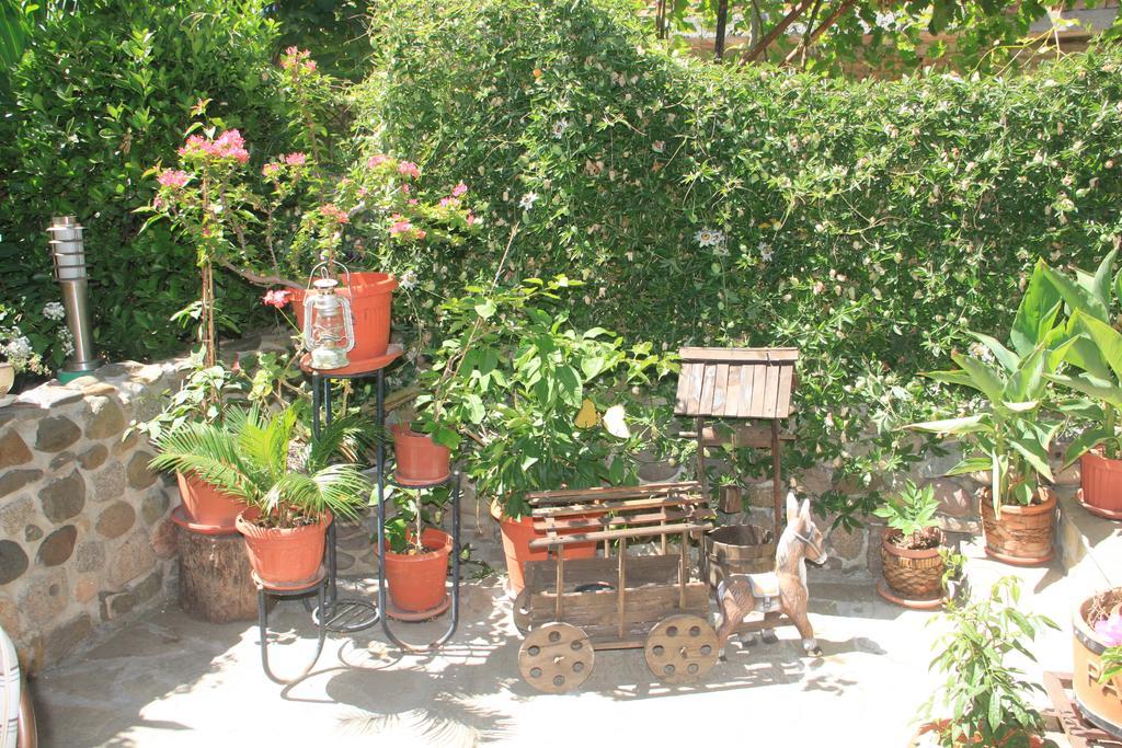 Family Hotel Emilia Sozopol Exterior foto
